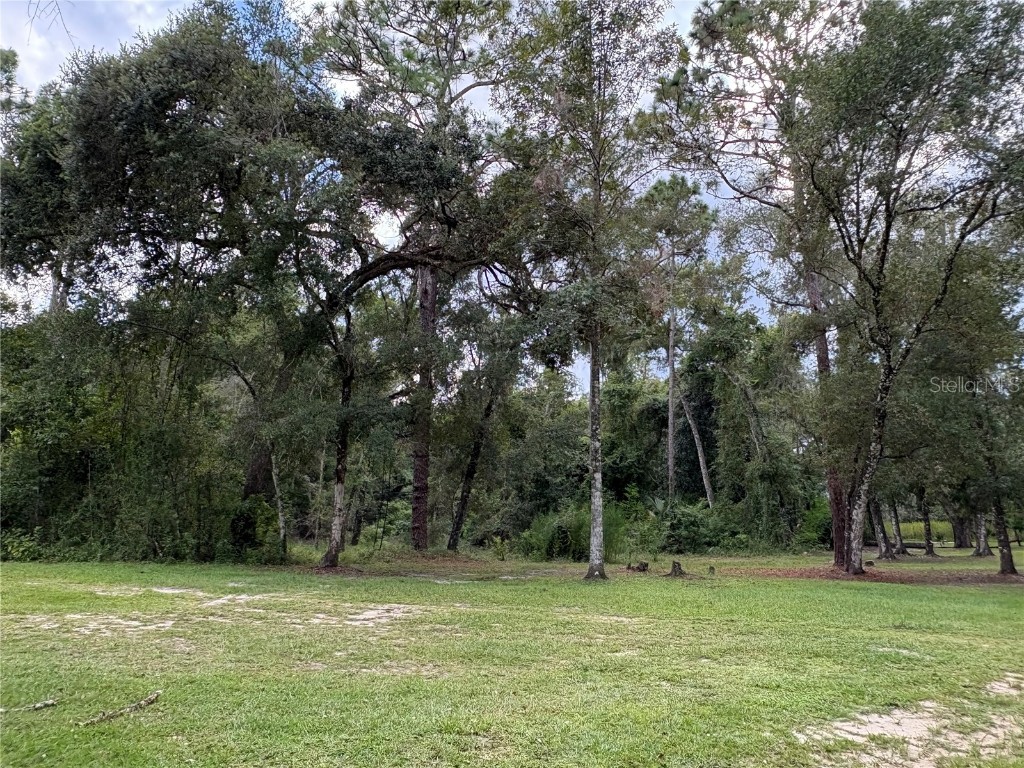 Lucilles Shady Lane Nobleton FL 34661 TB8424547 image40