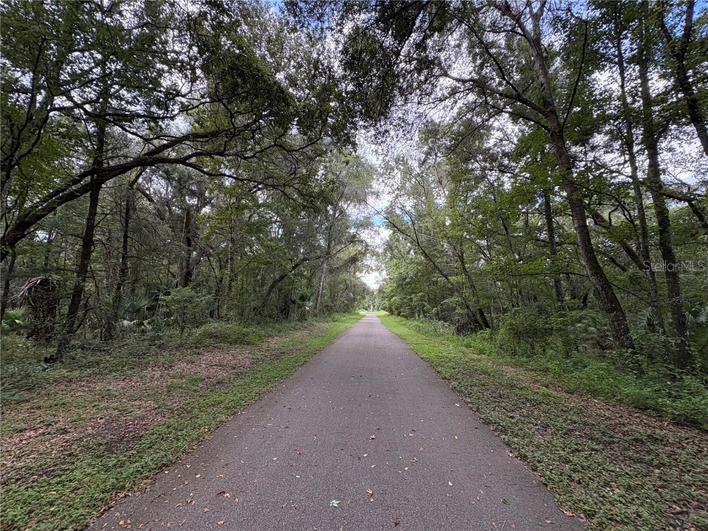 Lucilles Shady Lane Nobleton FL 34661 TB8424547 image42