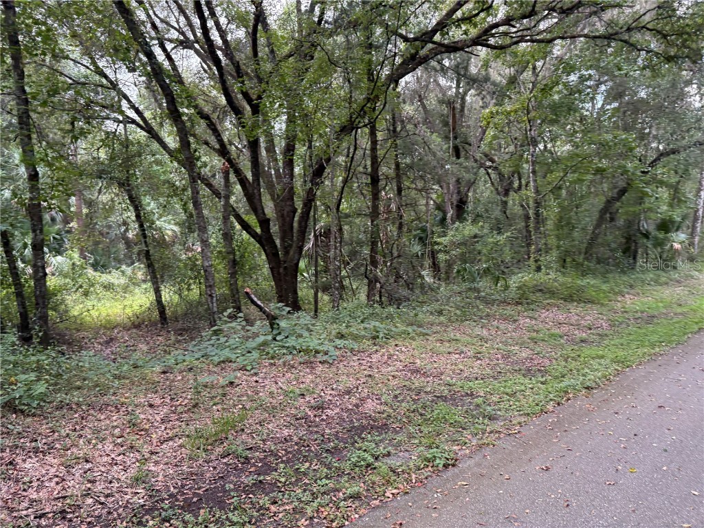 Lucilles Shady Lane Nobleton FL 34661 TB8424547 image43