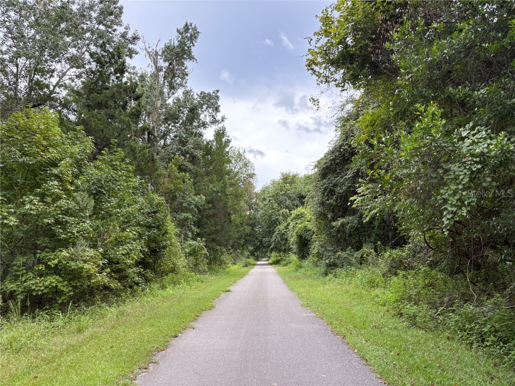 Lucilles Shady Lane Nobleton FL 34661 TB8424547 image45