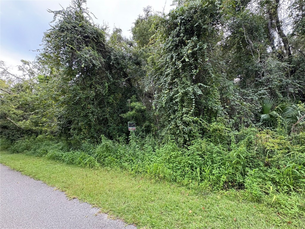 Lucilles Shady Lane Nobleton FL 34661 TB8424547 image49