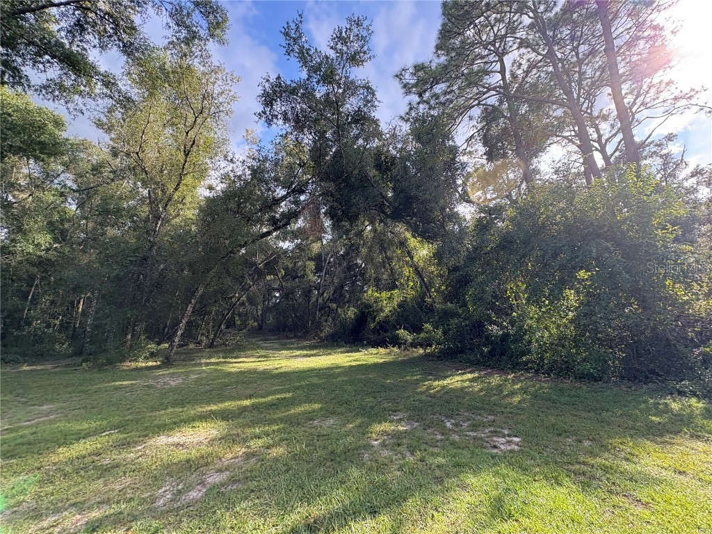 Lucilles Shady Lane Nobleton FL 34661 TB8424547 image5