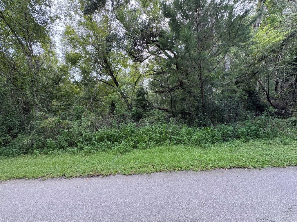 Lucilles Shady Lane Nobleton FL 34661 TB8424547 image51