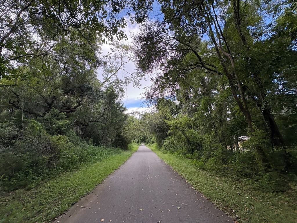 Lucilles Shady Lane Nobleton FL 34661 TB8424547 image52