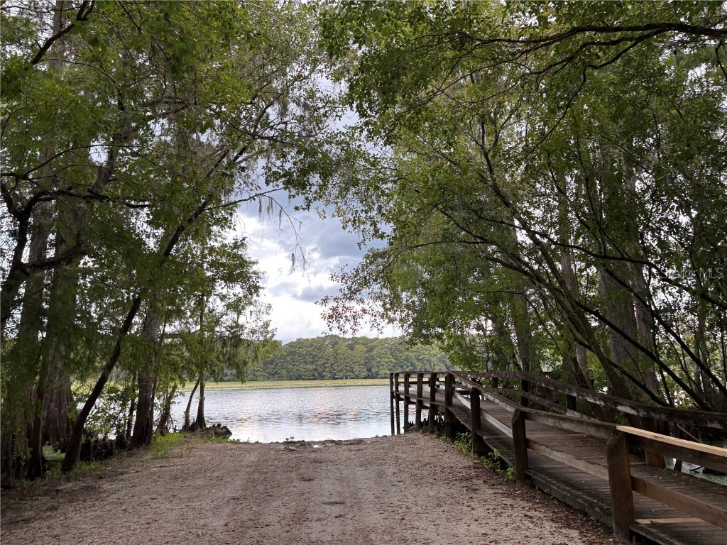 Lucilles Shady Lane Nobleton FL 34661 TB8424547 image57