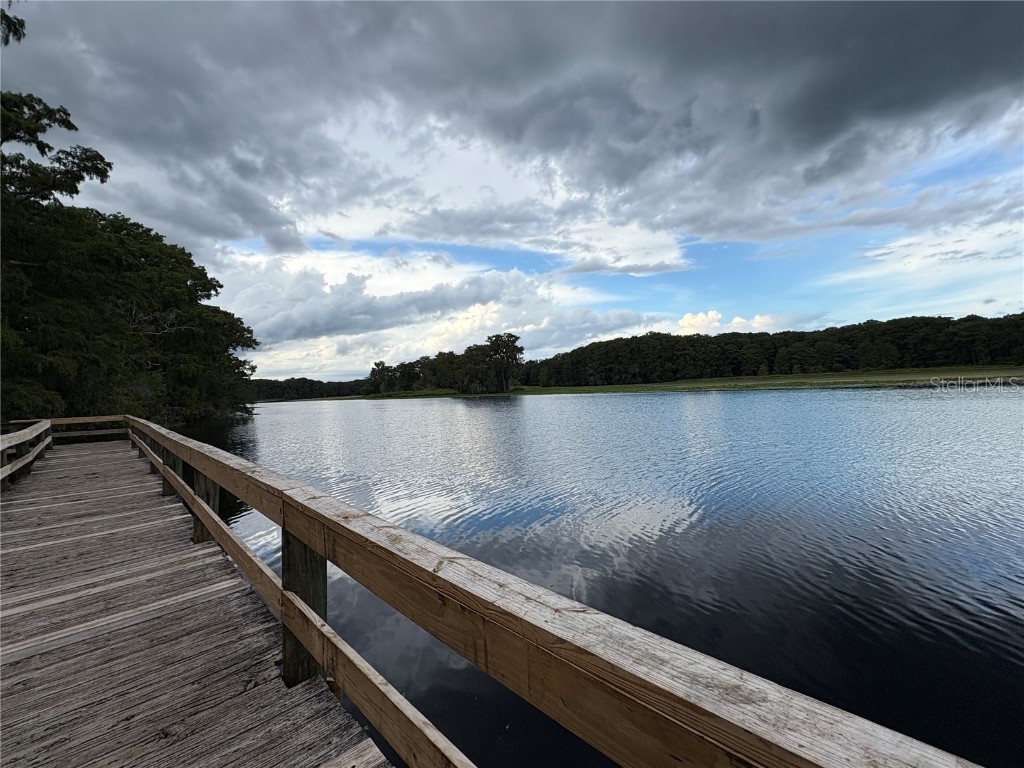 Lucilles Shady Lane Nobleton FL 34661 TB8424547 image58