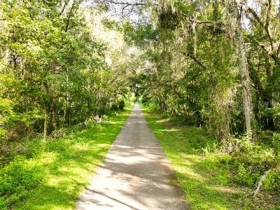 Lucilles Shady Lane Nobleton FL 34661 TB8424547 image59