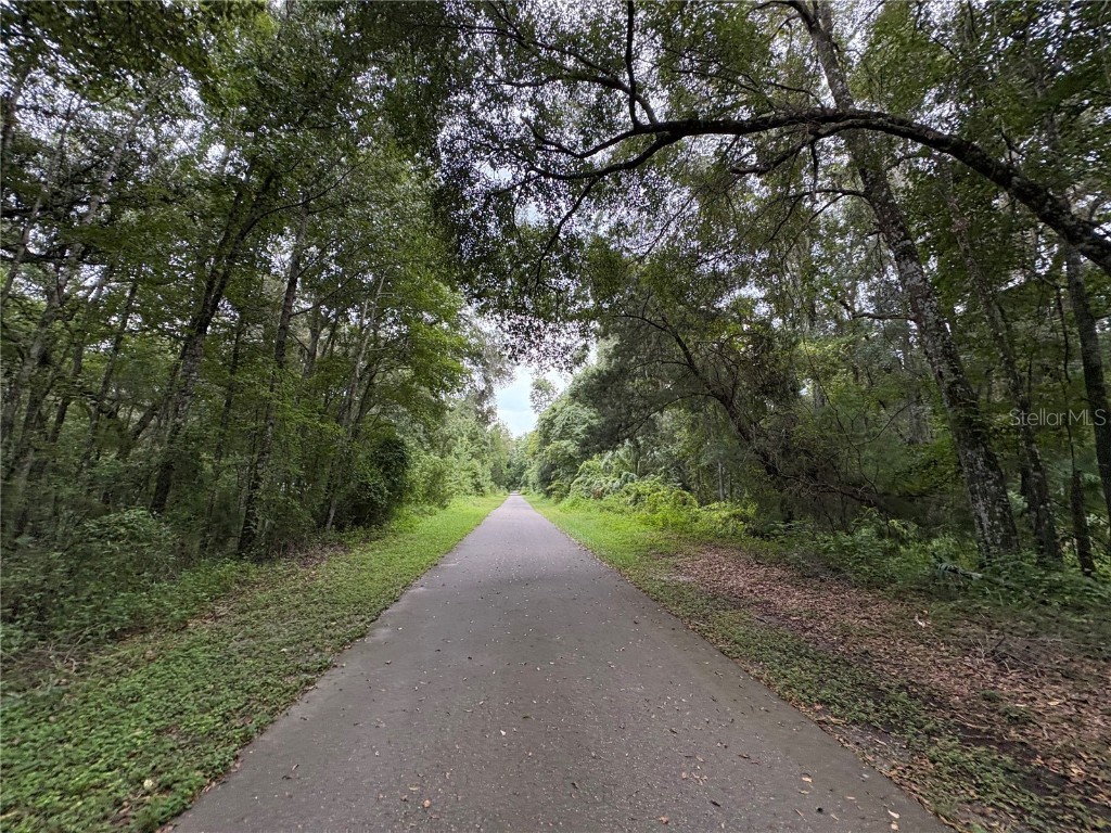 Lucilles Shady Lane Nobleton FL 34661 TB8424547 image6