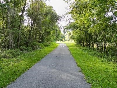 Lucilles Shady Lane Nobleton FL 34661 TB8424547 image60