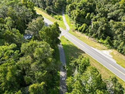 Lucilles Shady Lane Nobleton FL 34661 TB8424547 image61