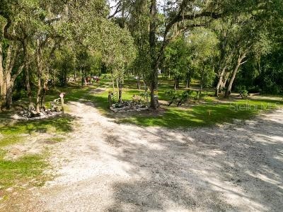 Lucilles Shady Lane Nobleton FL 34661 TB8424547 image62