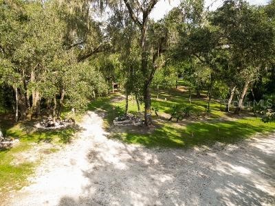 Lucilles Shady Lane Nobleton FL 34661 TB8424547 image63