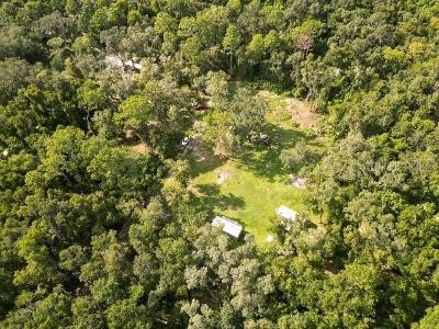 Lucilles Shady Lane Nobleton FL 34661 TB8424547 image65