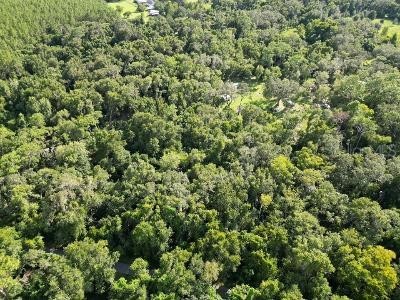 Lucilles Shady Lane Nobleton FL 34661 TB8424547 image67