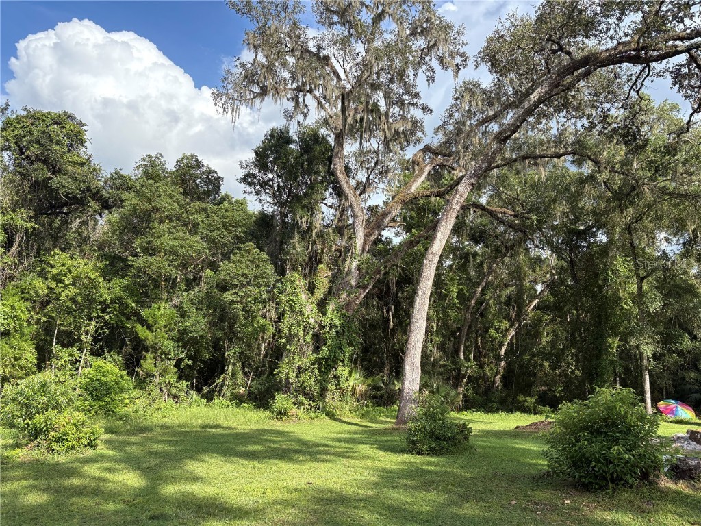 Lucilles Shady Lane Nobleton FL 34661 TB8424547 image7