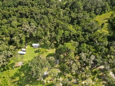 Lucilles Shady Lane Nobleton FL 34661 TB8424547 image70