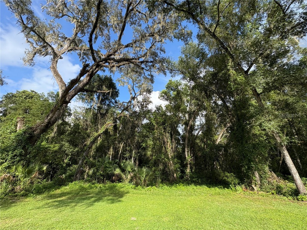 Lucilles Shady Lane Nobleton FL 34661 TB8424547 image8