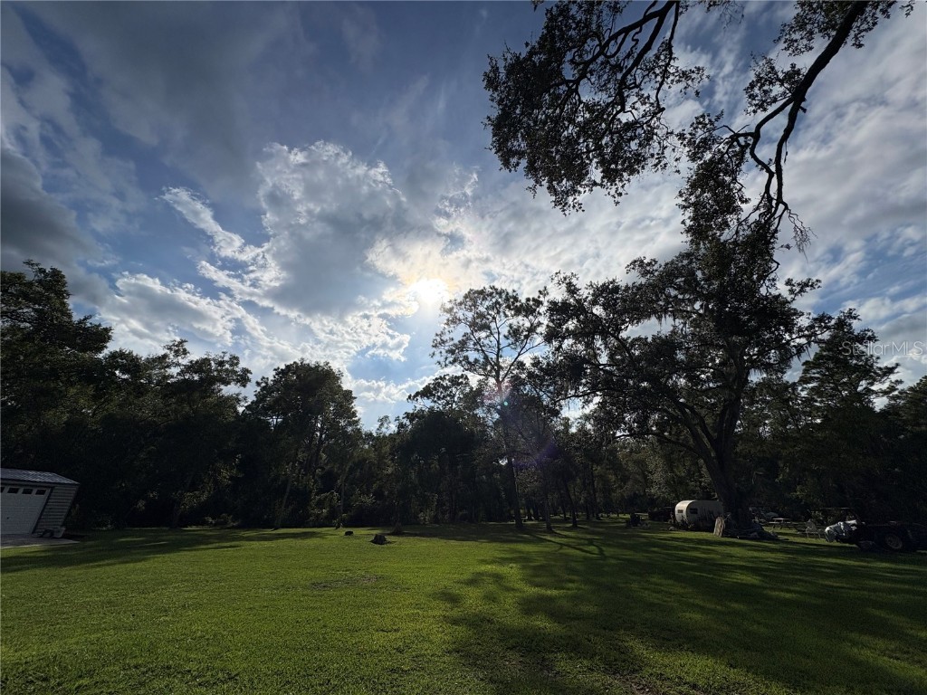 Lucilles Shady Lane Nobleton FL 34661 TB8424547 image9