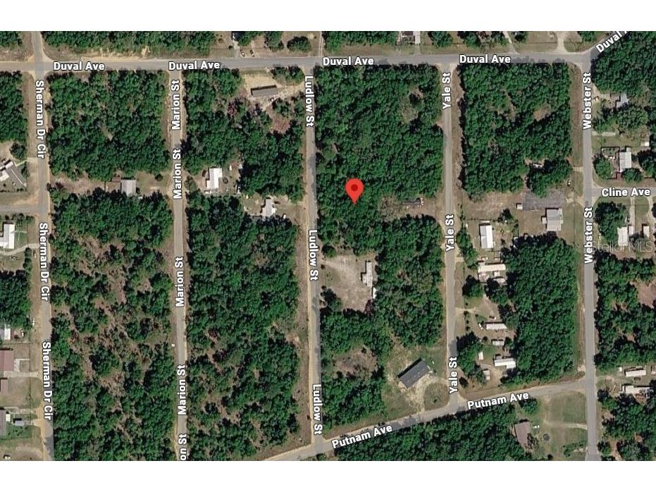 Ludlow Street Interlachen FL 32148 O6386831 image1