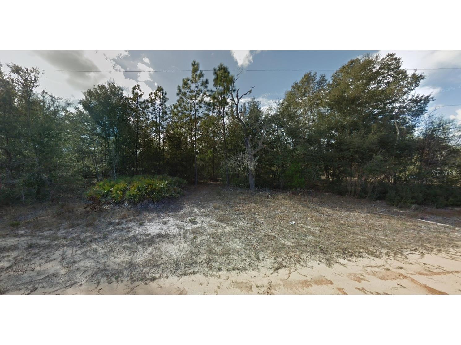 Ludlow Street Interlachen FL 32148 O6386831 image3