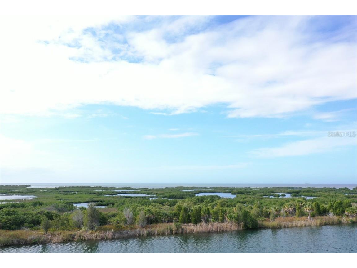 Lugustrum Drive Hernando Beach FL 34607 W7881317 image5