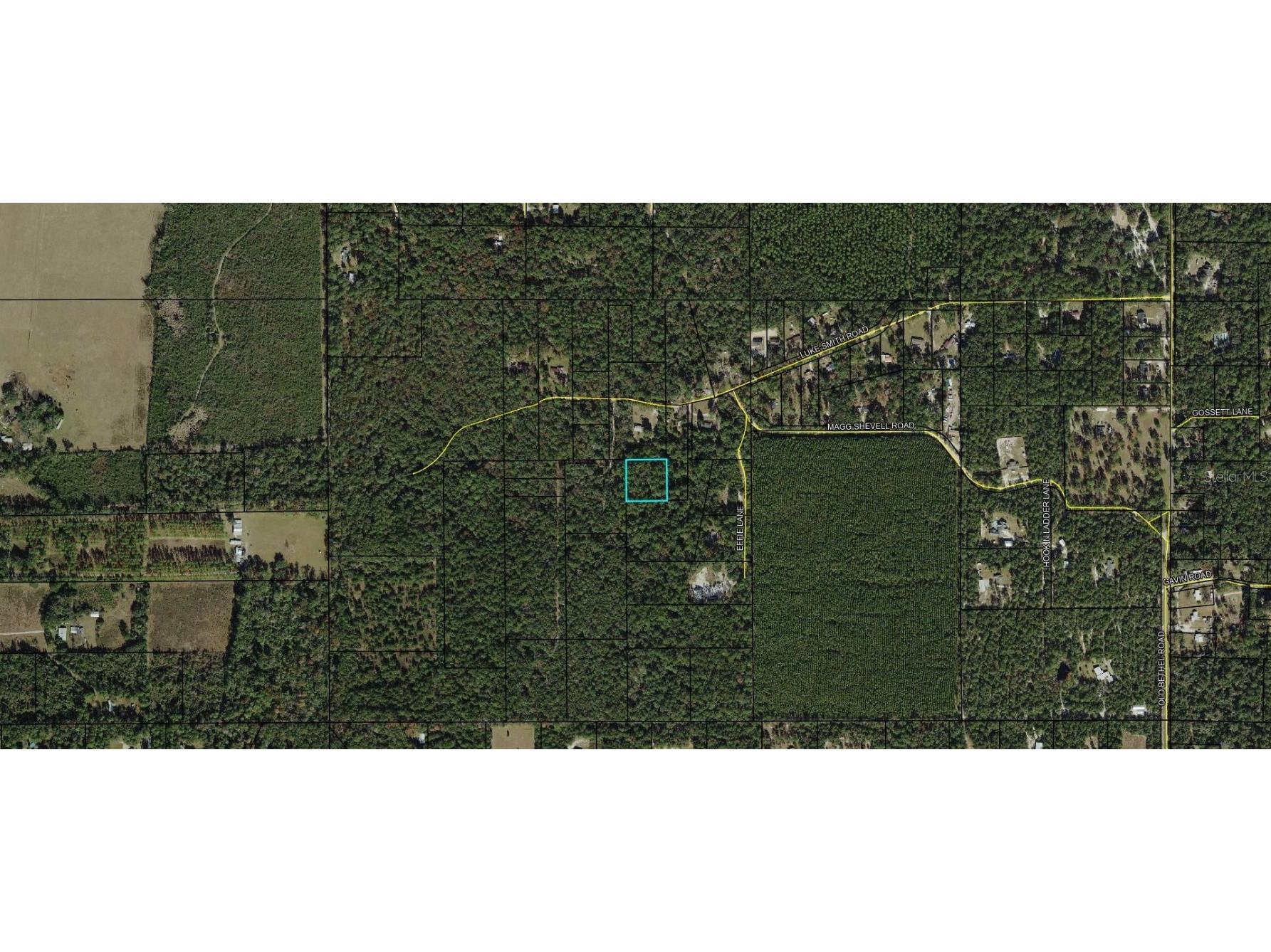 Luke Smith Road Crawfordville FL 32327 W7879087 image1