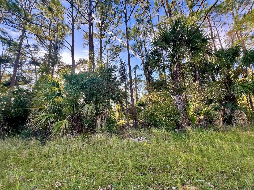 Lummus Street North Port FL 34286 C7497102 image1