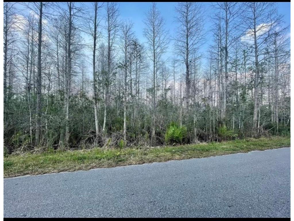 Luna Dr Saint Cloud FL 34773 O6266784 image1