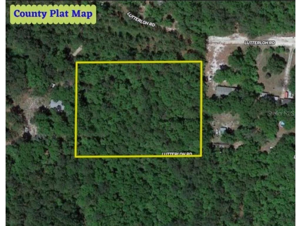 Lutterloh Road Tallahassee FL 32305 OM660053 image1