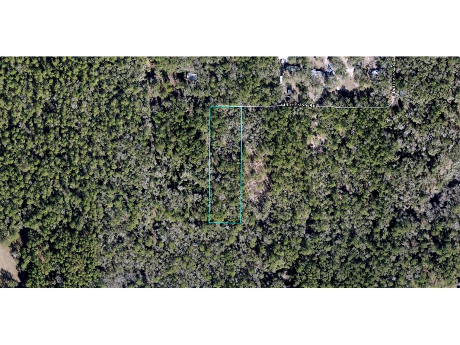 Lutterloh Road Tallahassee FL 32305 O6214857 image1