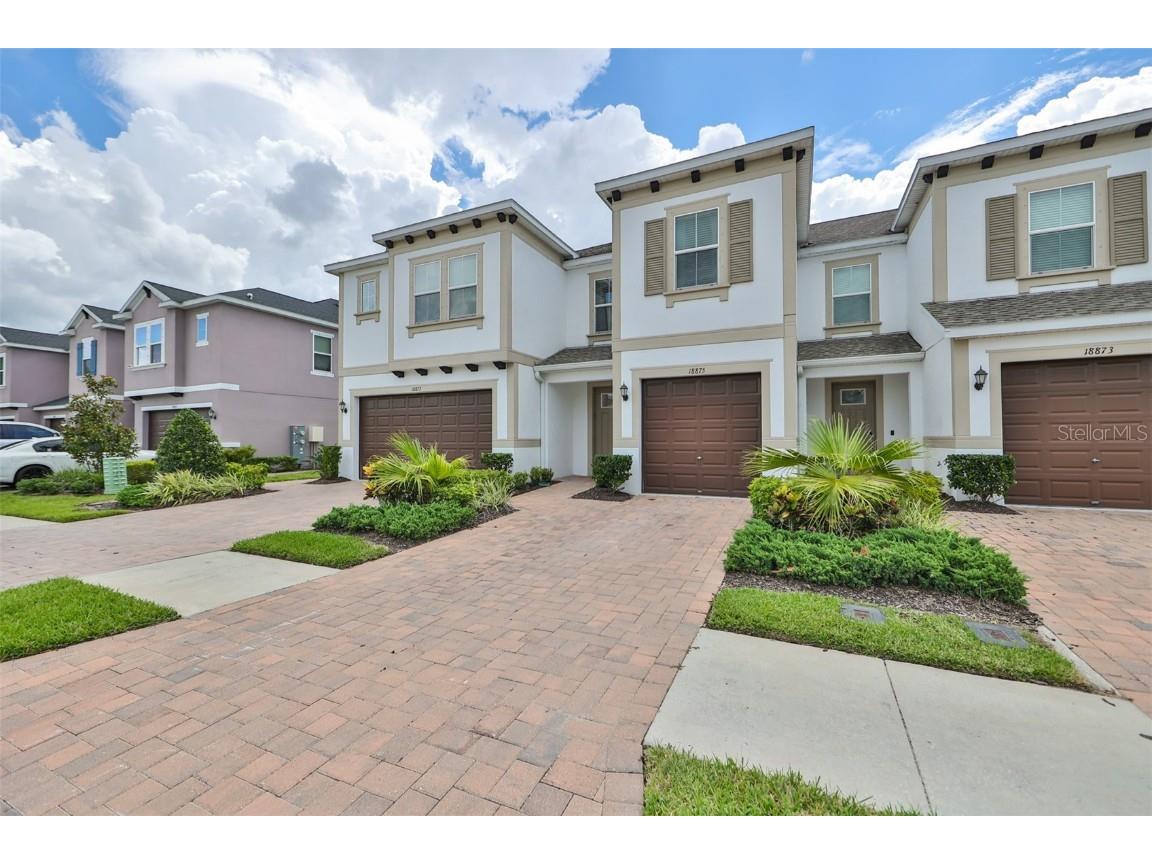  Lutz FL 33558 T3479358 image1