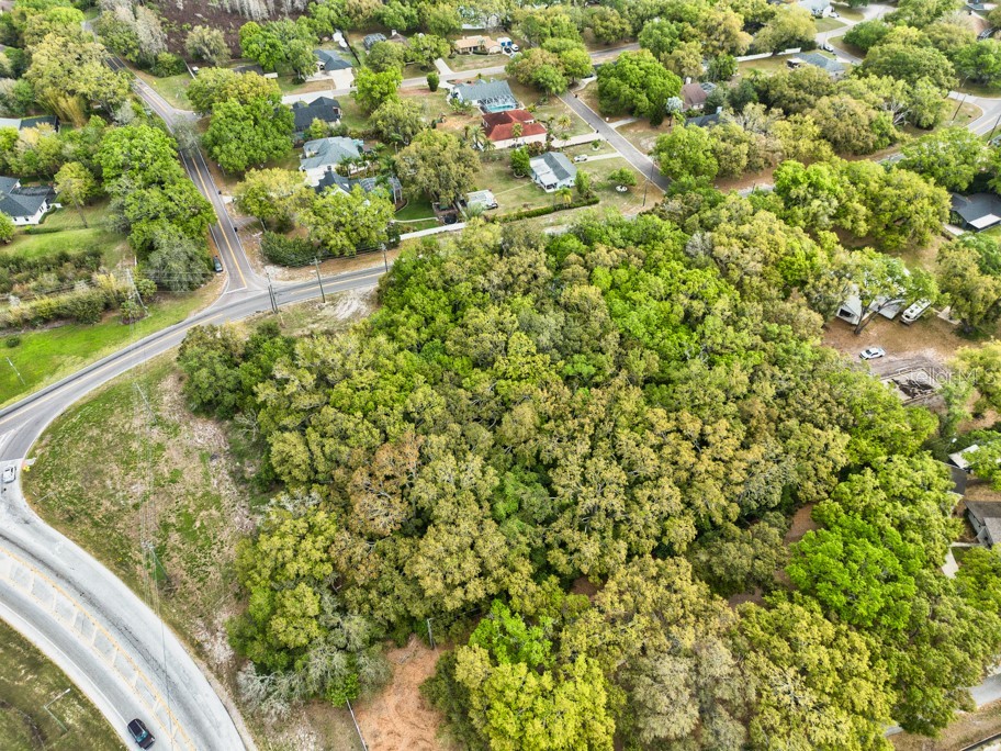 Lutz Lake Fern Road Odessa FL 33556 TB8487198 image17