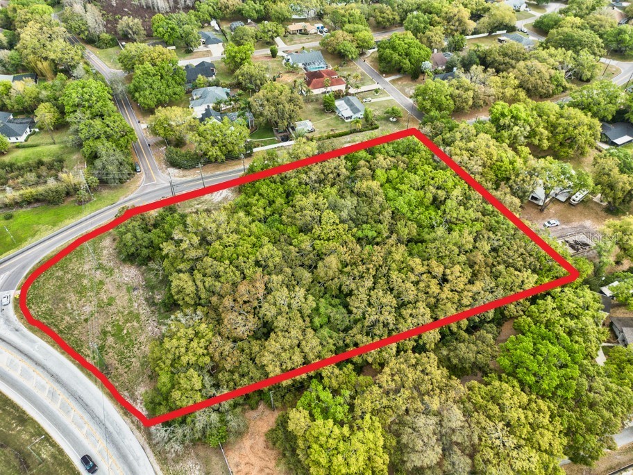 Lutz Lake Fern Road Odessa FL 33556 TB8487198 image18