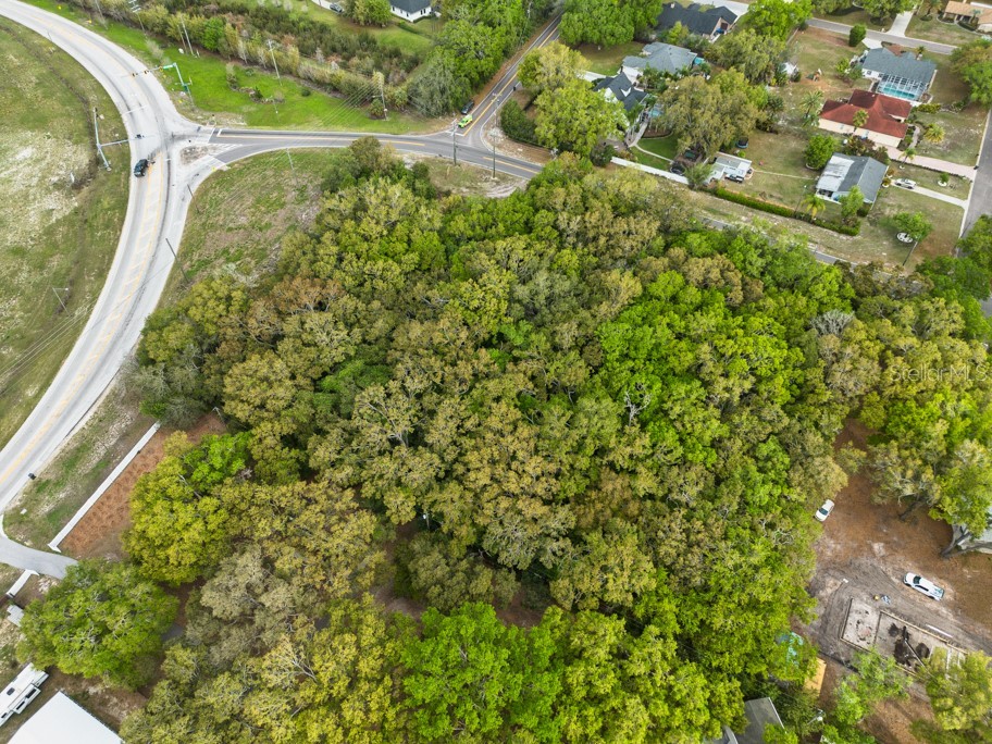 Lutz Lake Fern Road Odessa FL 33556 TB8487198 image19