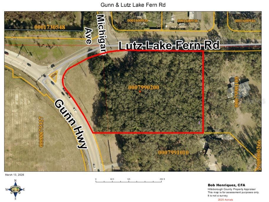 Lutz Lake Fern Road Odessa FL 33556 TB8487198 image2