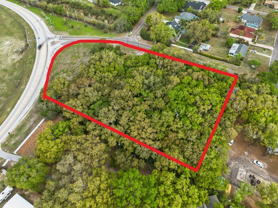 Lutz Lake Fern Road Odessa FL 33556 TB8487198 image20