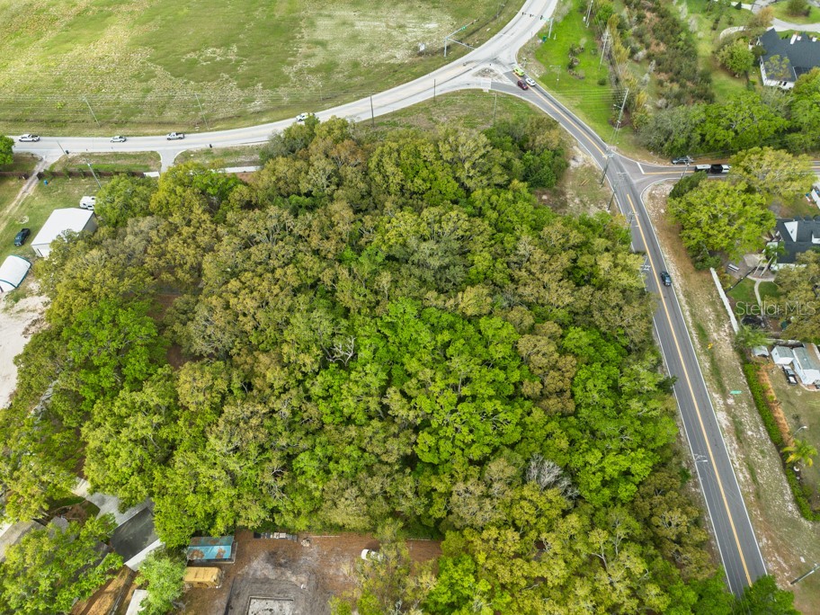 Lutz Lake Fern Road Odessa FL 33556 TB8487198 image21