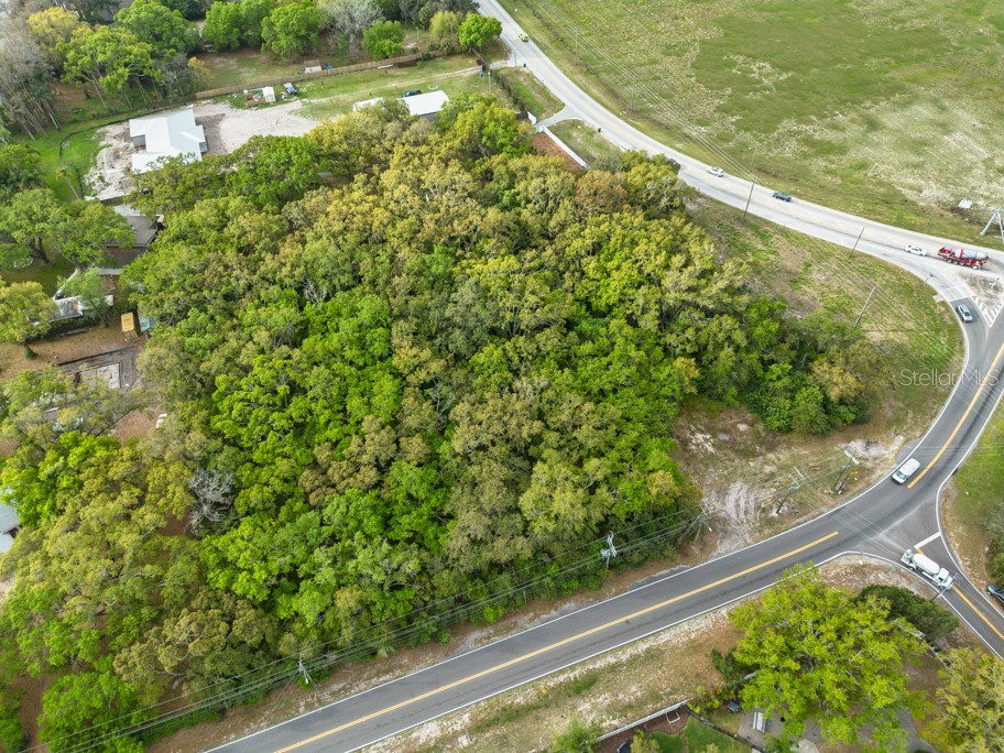 Lutz Lake Fern Road Odessa FL 33556 TB8487198 image22