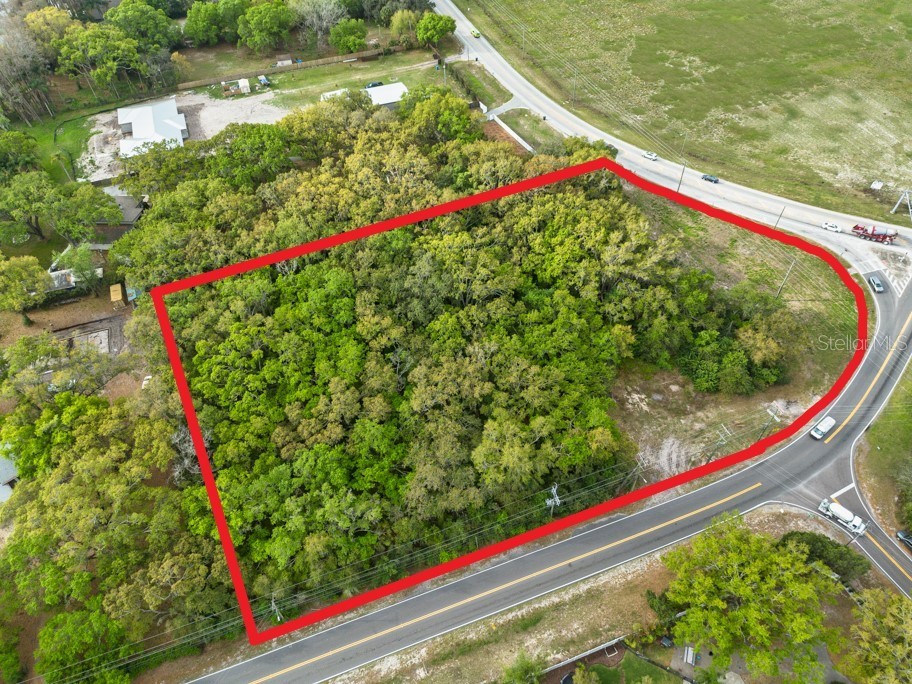 Lutz Lake Fern Road Odessa FL 33556 TB8487198 image23