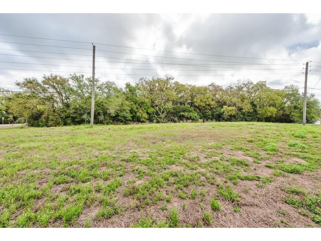 Lutz Lake Fern Road Odessa FL 33556 TB8487198 image28