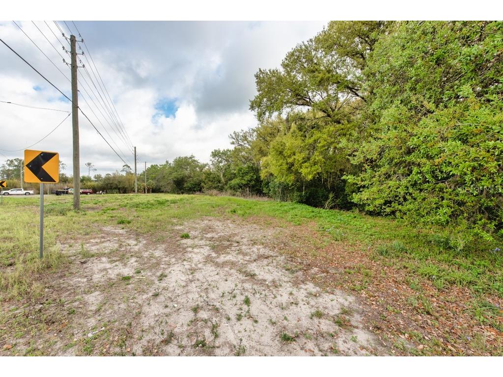 Lutz Lake Fern Road Odessa FL 33556 TB8487198 image29