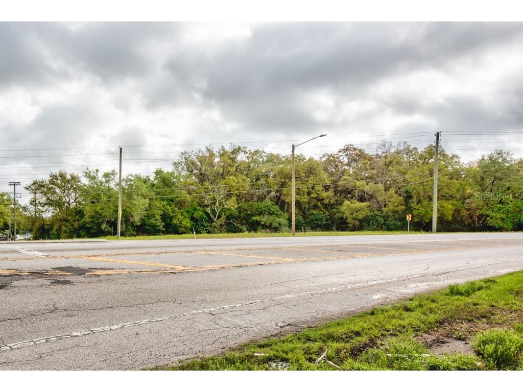 Lutz Lake Fern Road Odessa FL 33556 TB8487198 image32