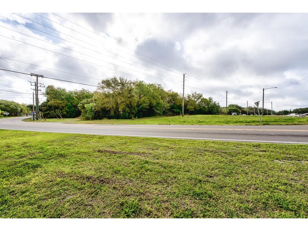 Lutz Lake Fern Road Odessa FL 33556 TB8487198 image34