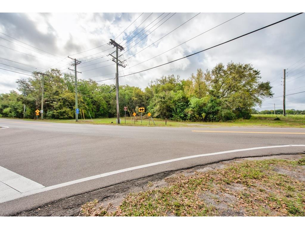 Lutz Lake Fern Road Odessa FL 33556 TB8487198 image35