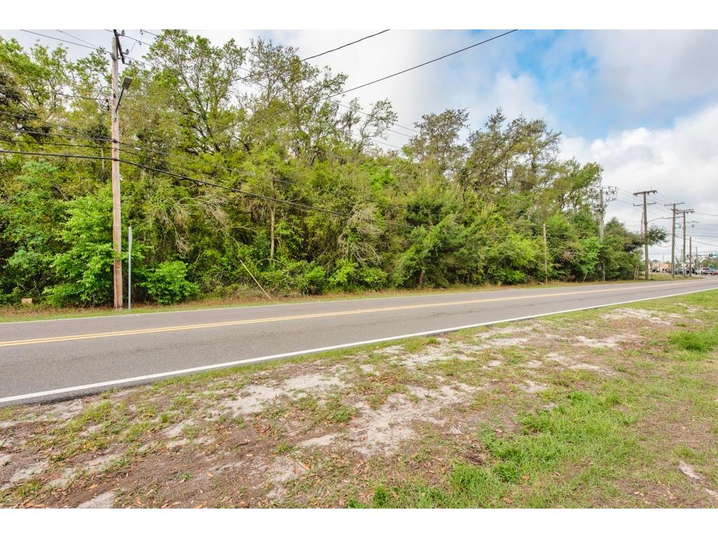 Lutz Lake Fern Road Odessa FL 33556 TB8487198 image36