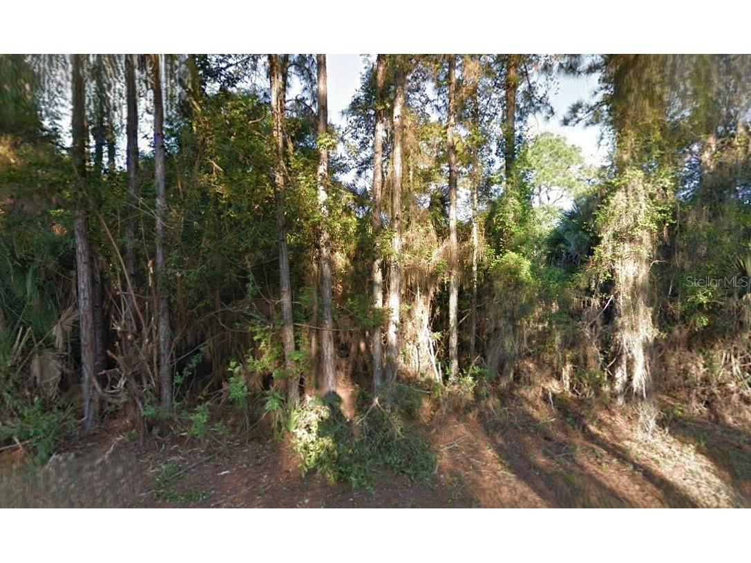 Lutz Road North Port FL 34286 O6282139 image1