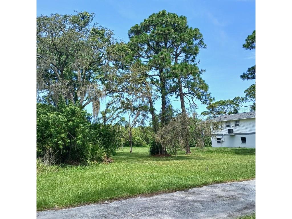 Lyle Circle Hudson FL 34667 W7877059 image6