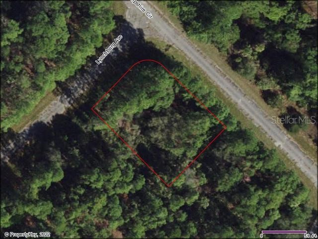 Lynchburg Avenue North Port FL 34288 D6123257 image1