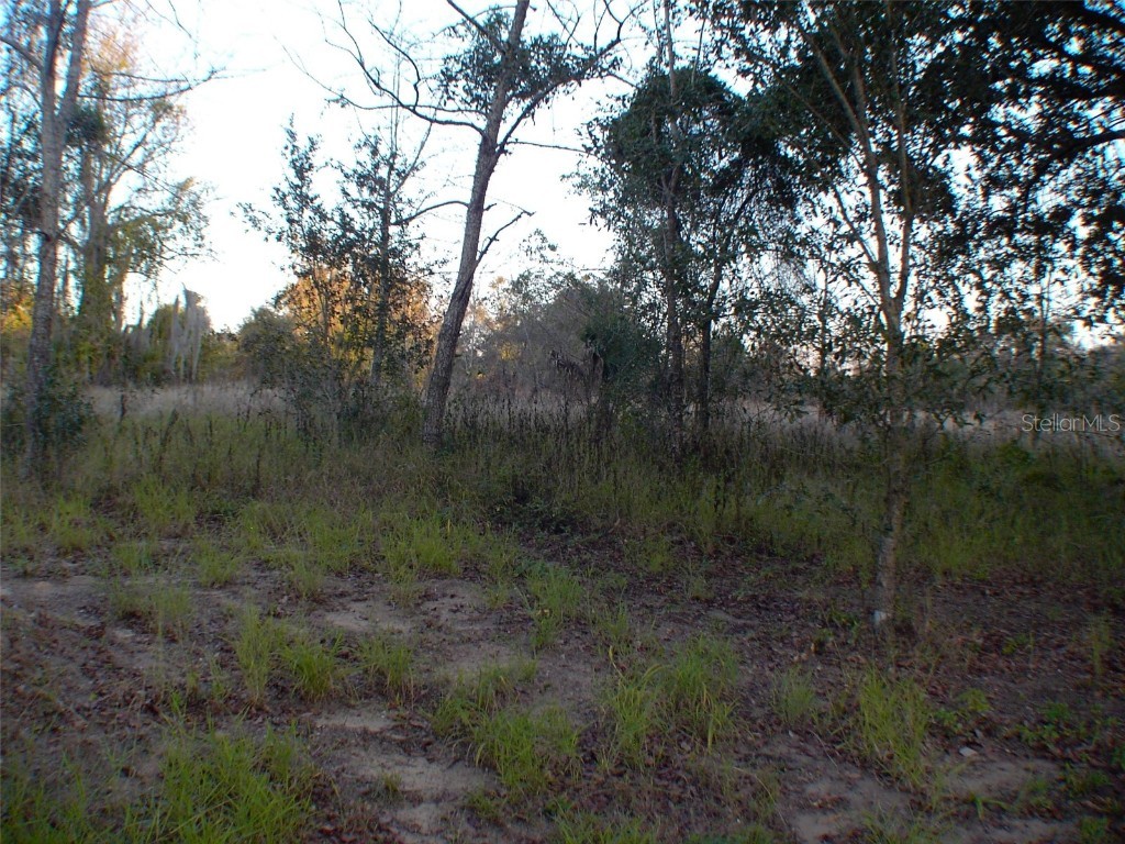  Lady Lake FL 32159 G5105718 image2