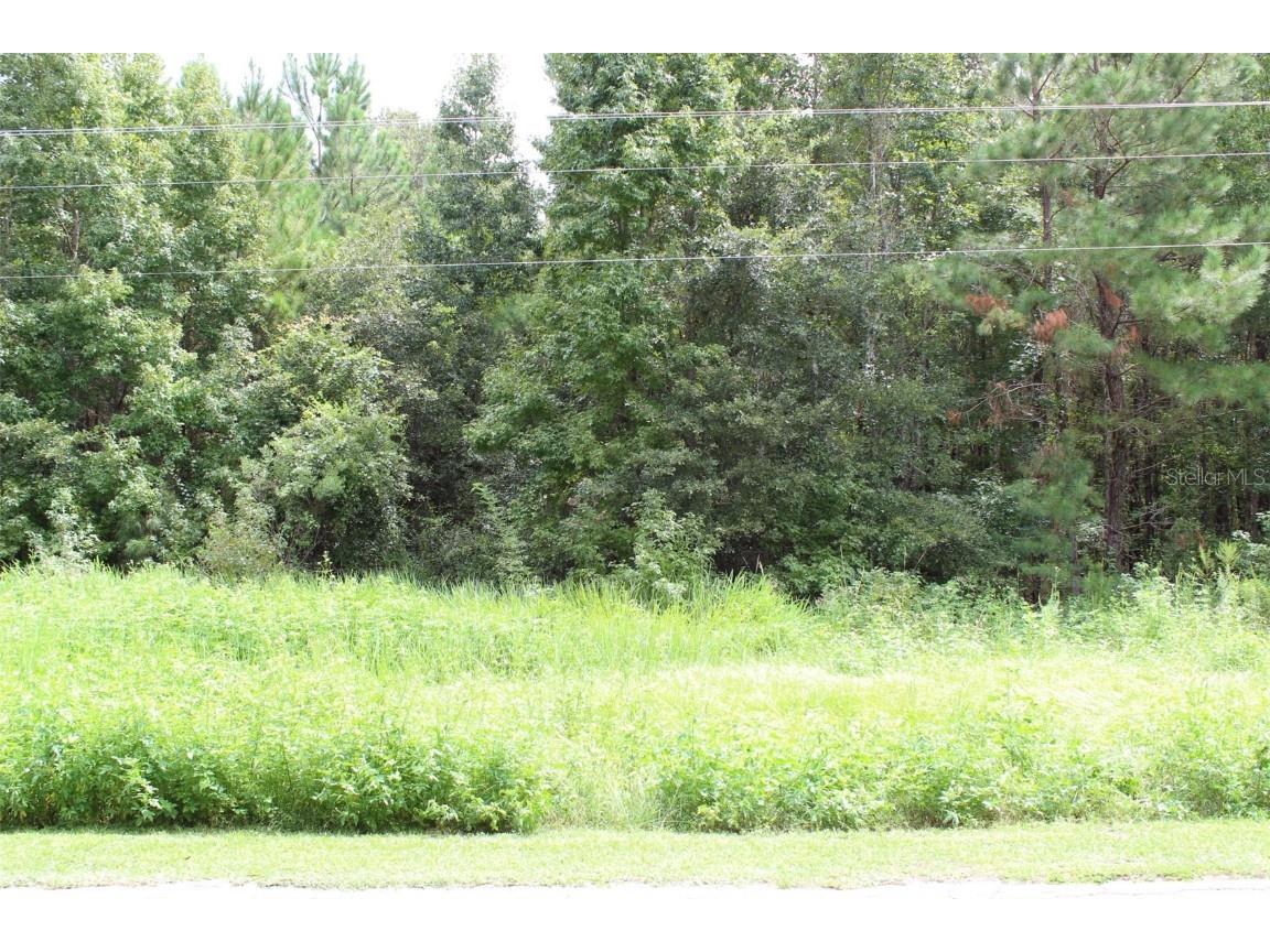  Lake Butler FL 32054 GC525000 image1